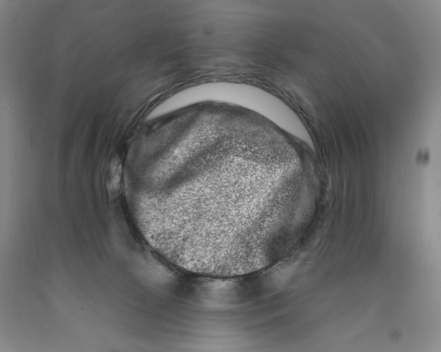 X0000089910081200707271723