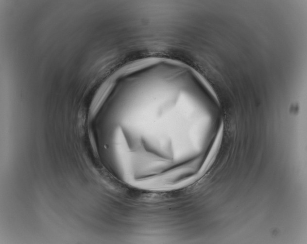 X0000089910082200707271723