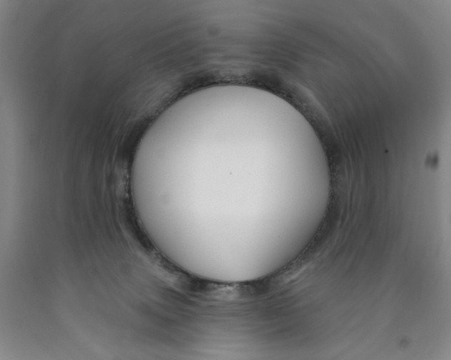 X0000089910083200707271724