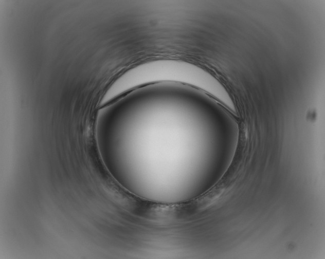 X0000089910084200707271724