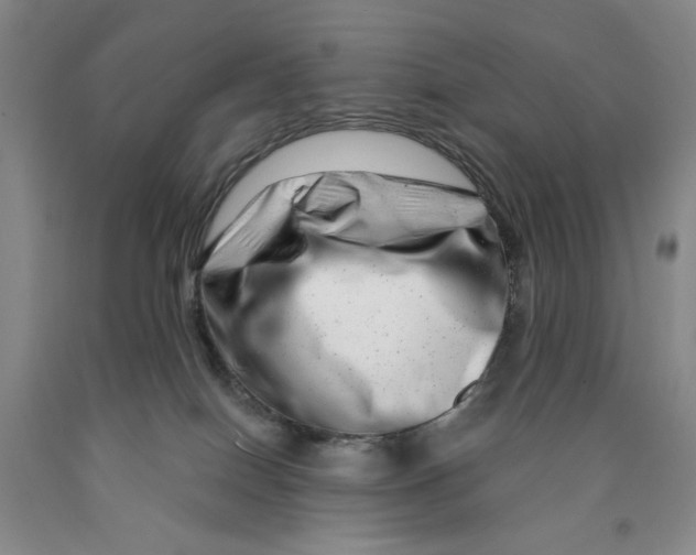 X0000089910086200707271724