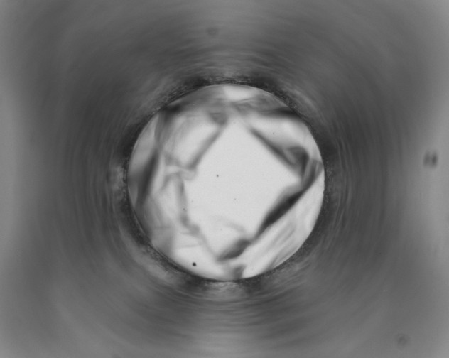 X0000089910087200707271724