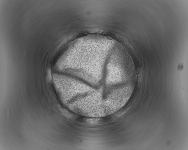 X0000089910089200707271724