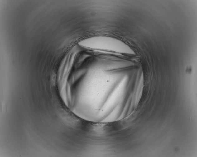 X0000089910090200707271724