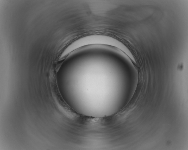 X0000089910092200707271724