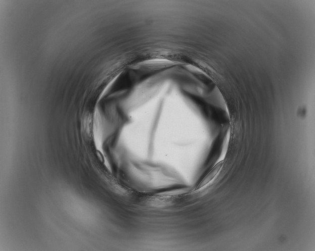 X0000089910094200707271724