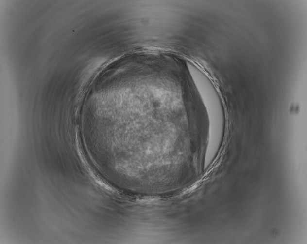 X0000089910097200707271723