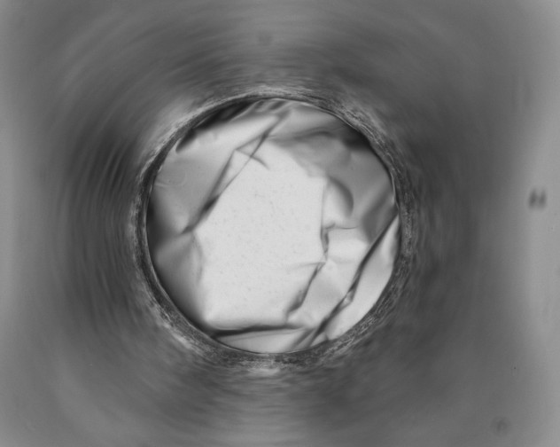 X0000089910098200707271723