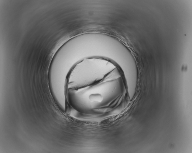 X0000089910099200707271723