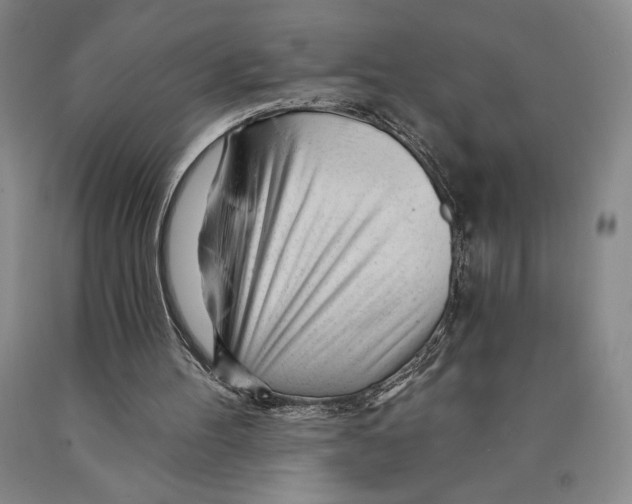 X0000089910100200707271723