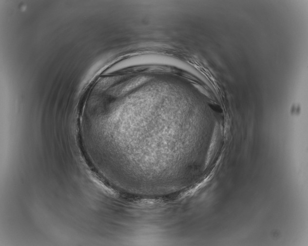 X0000089910101200707271723