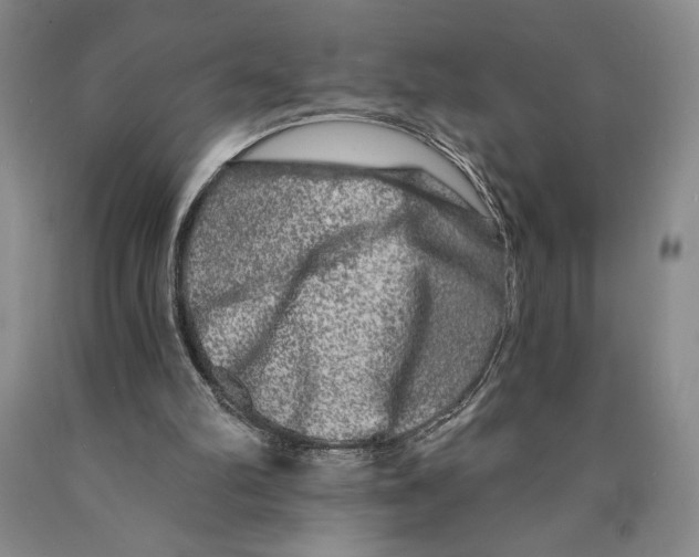 X0000089910102200707271723