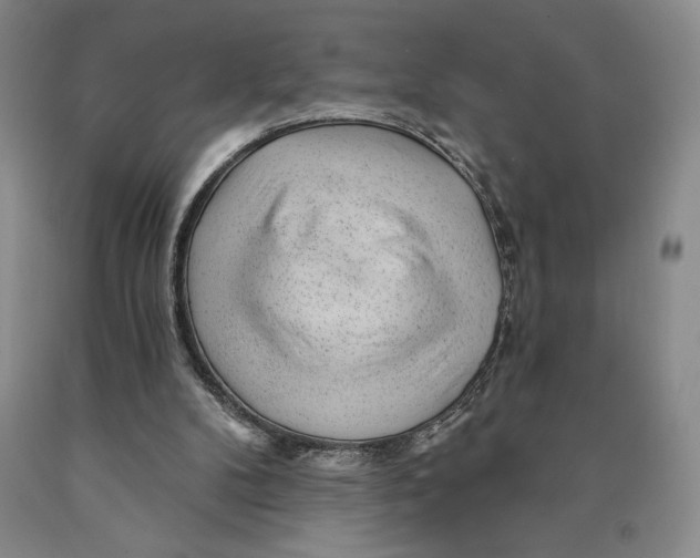 X0000089910104200707271723