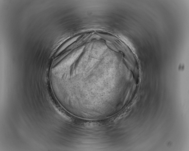 X0000089910105200707271723