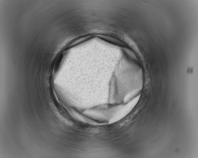 X0000089910106200707271723