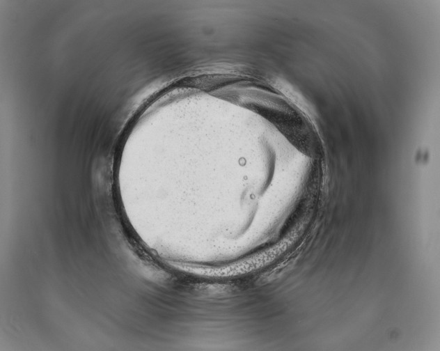 X0000089910107200707271723