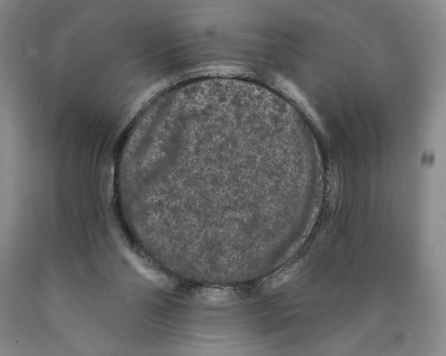 X0000089910110200707271723