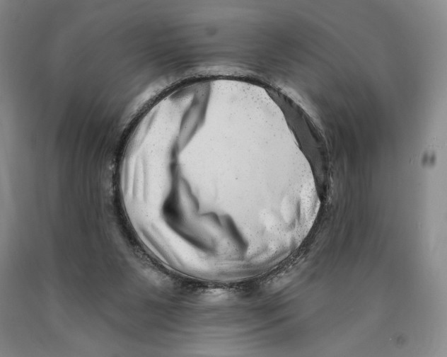 X0000089910111200707271723