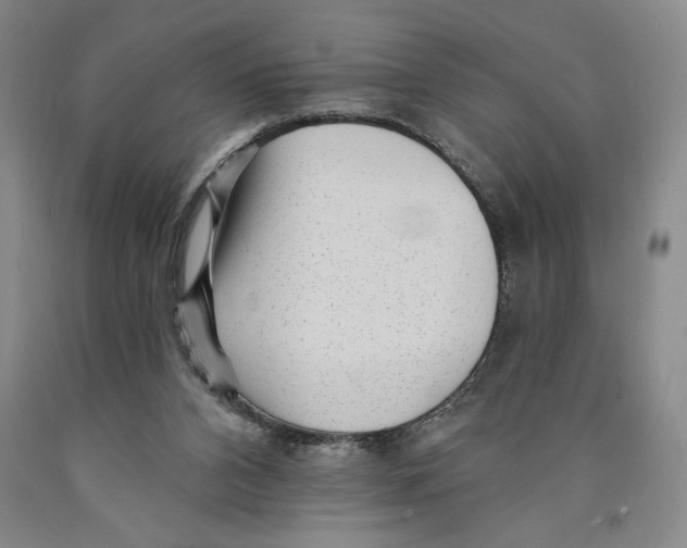 X0000089910112200707271723