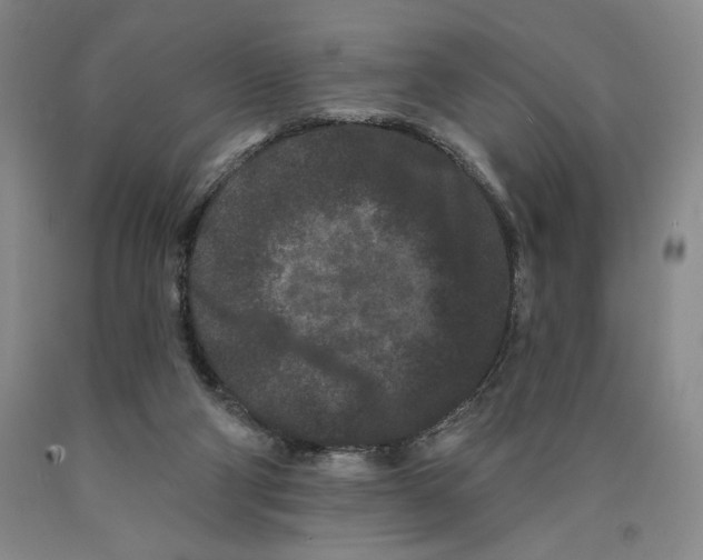 X0000089910114200707271723