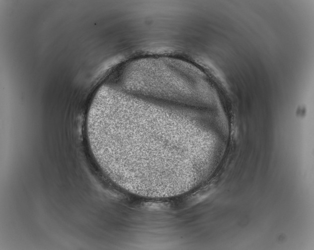 X0000089910115200707271723