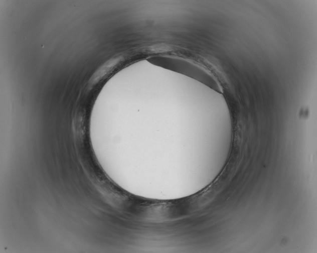 X0000089910116200707271723