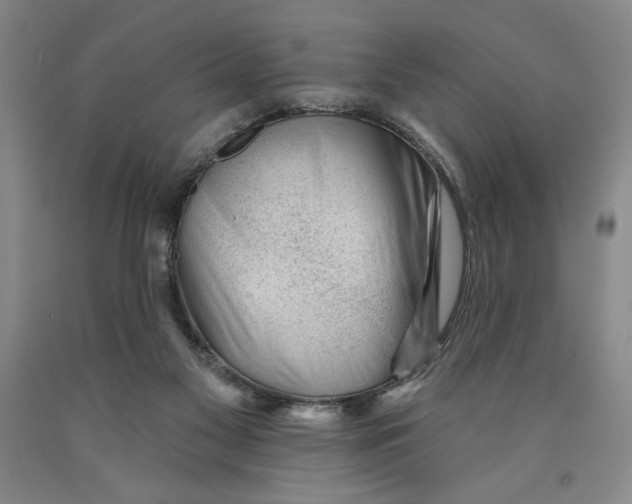 X0000089910117200707271723