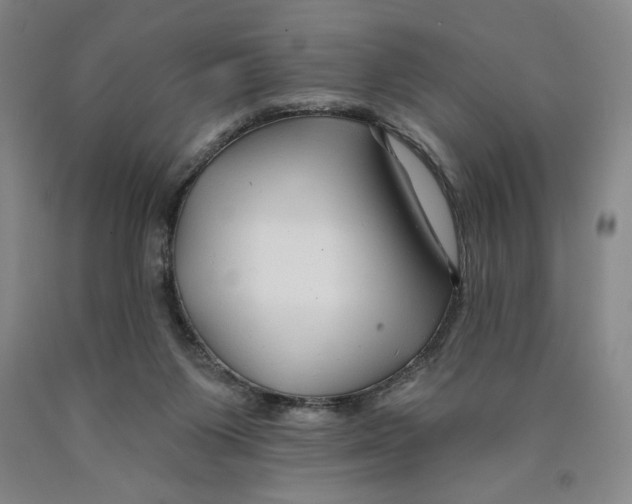 X0000089910119200707271723