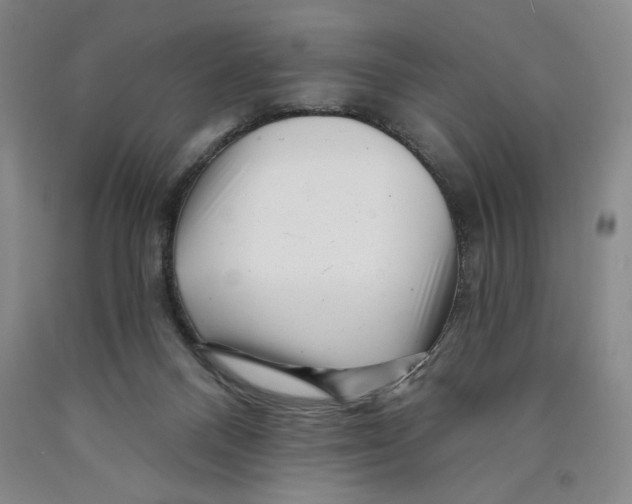 X0000089910120200707271723