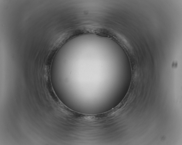 X0000089910121200707271723