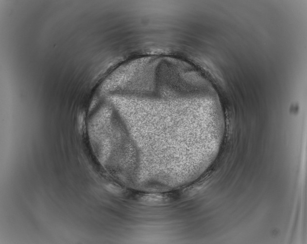 X0000089910123200707271723