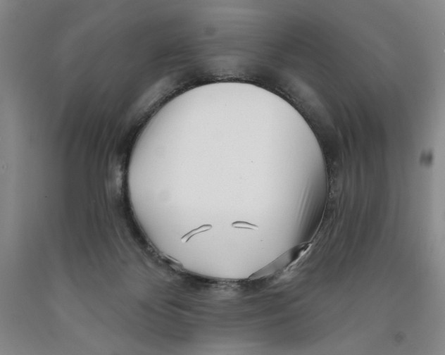 X0000089910124200707271723