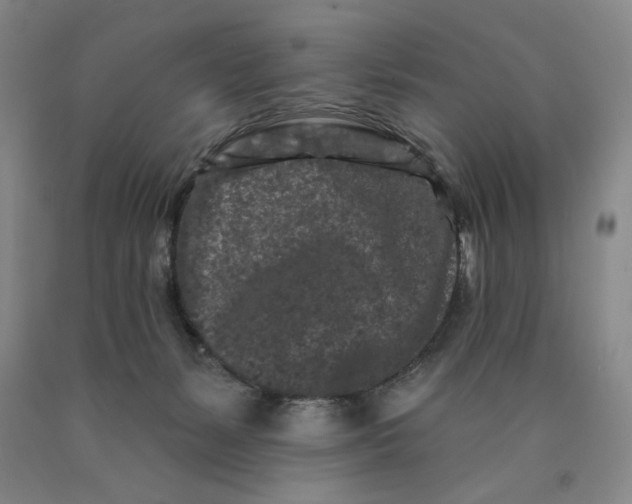 X0000089910127200707271723