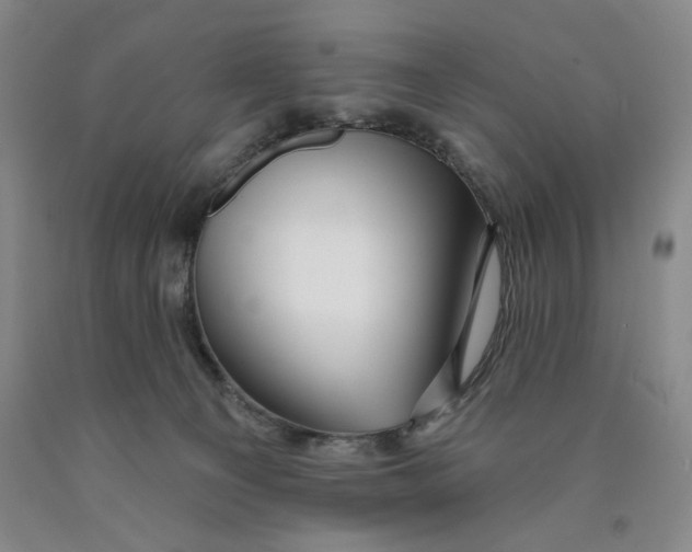 X0000089910129200707271722