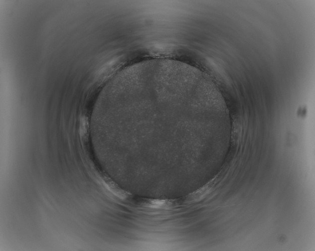 X0000089910130200707271722