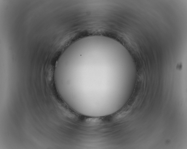 X0000089910133200707271722