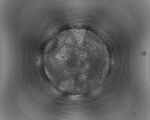 X0000089910134200707271722