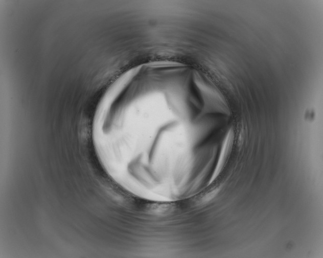 X0000089910135200707271722