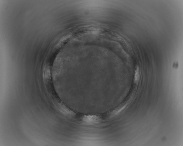 X0000089910137200707271722