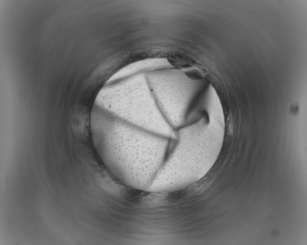 X0000089910138200707271722