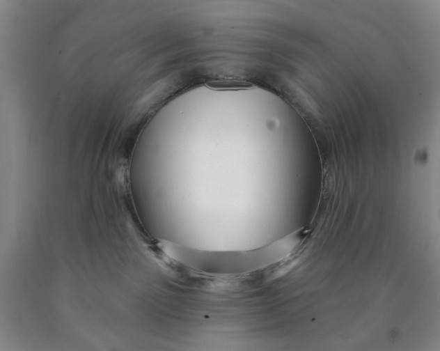 X0000089910141200707271722