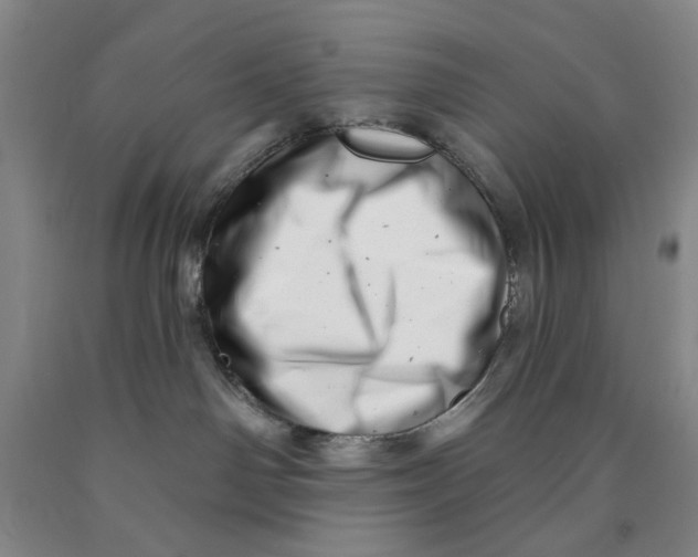 X0000089910142200707271722