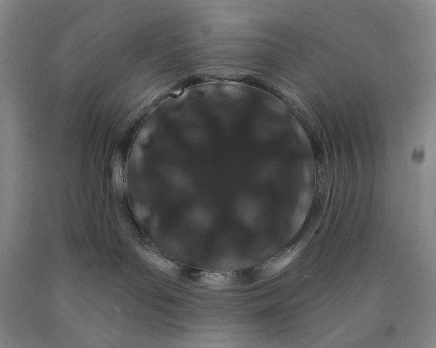 X0000089910143200707271722