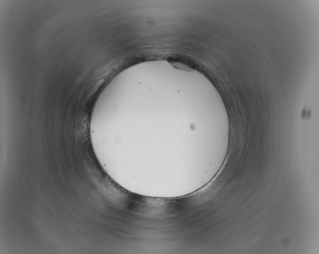 X0000089910144200707271722