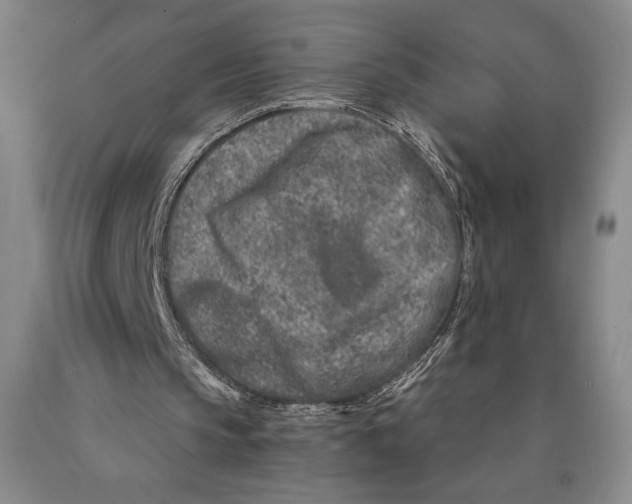 X0000089910145200707271722