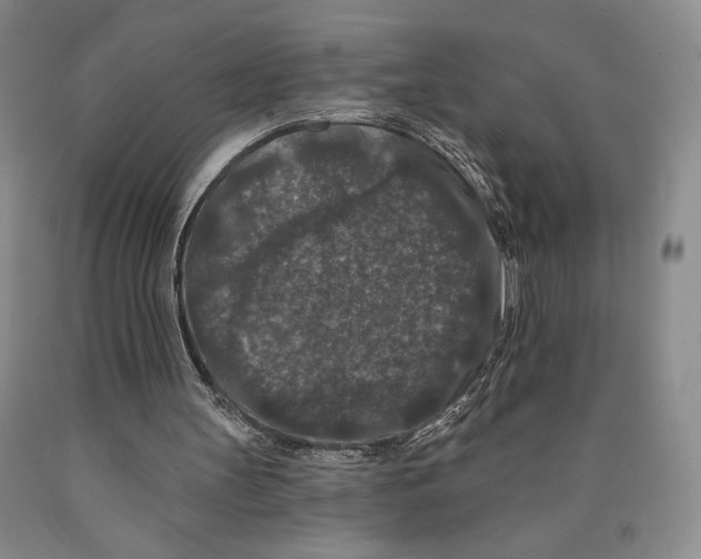 X0000089910147200707271722