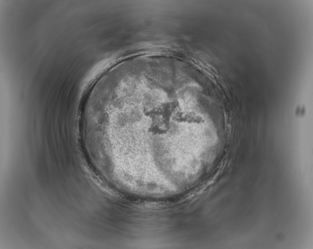 X0000089910149200707271722