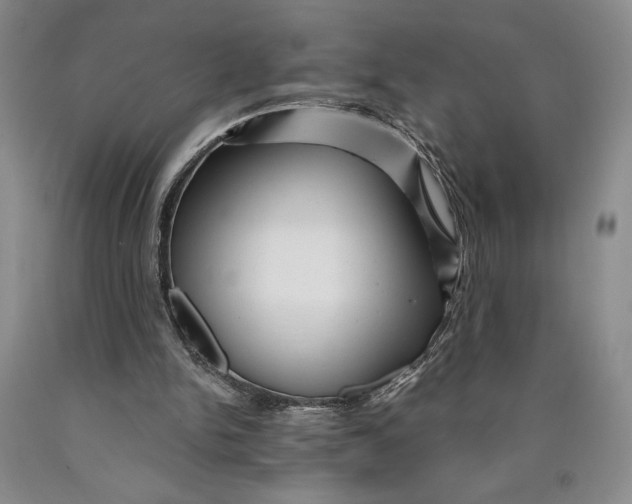 X0000089910150200707271722