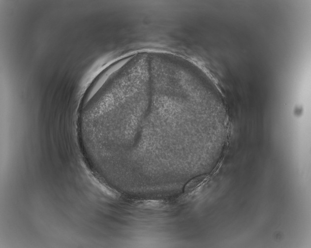 X0000089910151200707271722