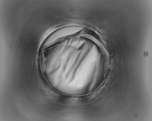 X0000089910152200707271722